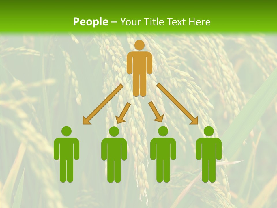 Di Cu Ion Figure Conference PowerPoint Template