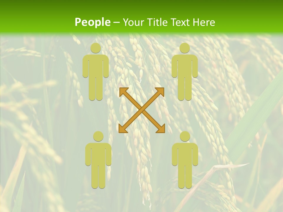 Di Cu Ion Figure Conference PowerPoint Template