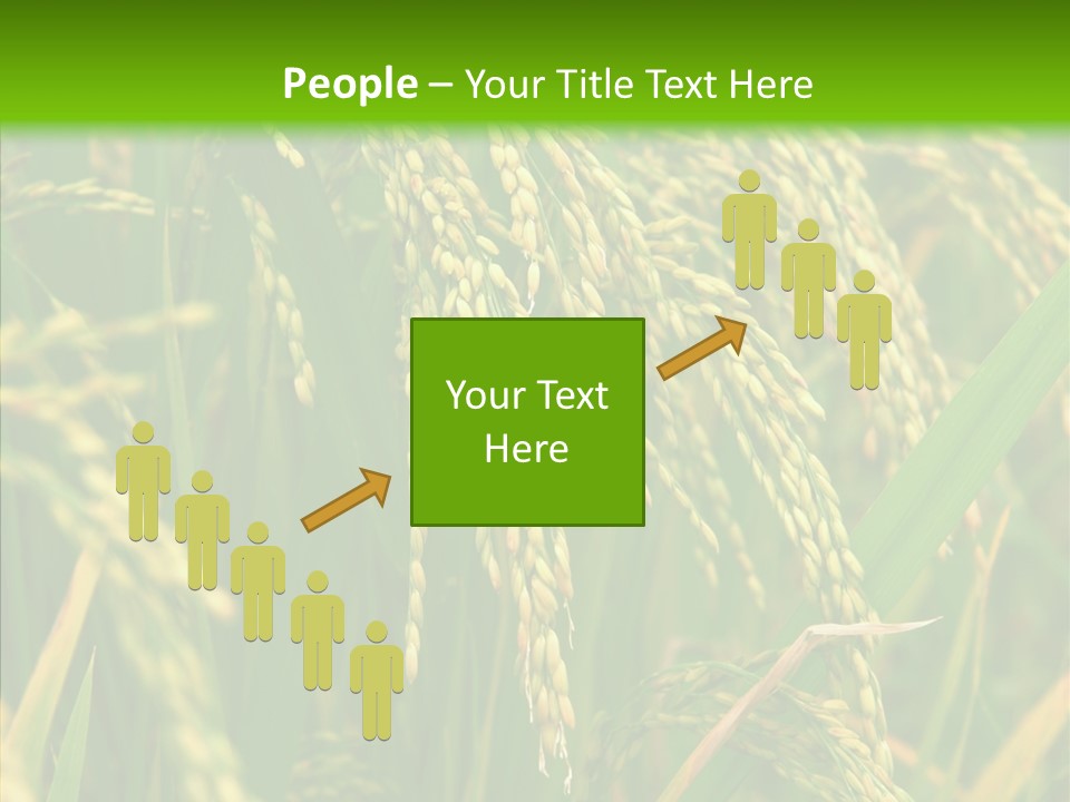 Di Cu Ion Figure Conference PowerPoint Template