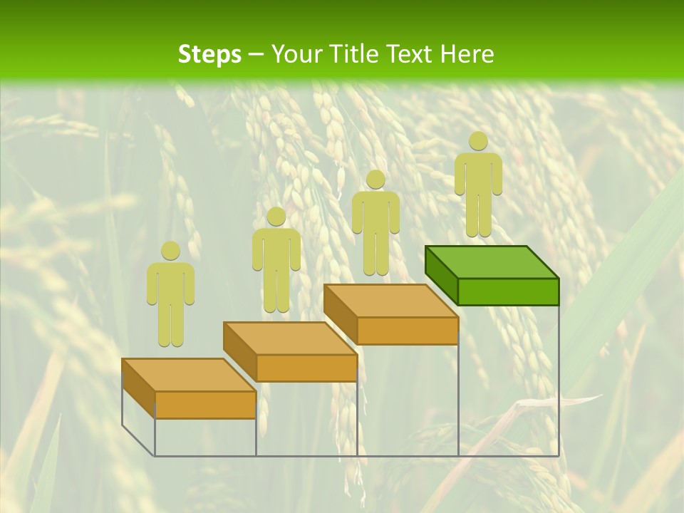 Di Cu Ion Figure Conference PowerPoint Template