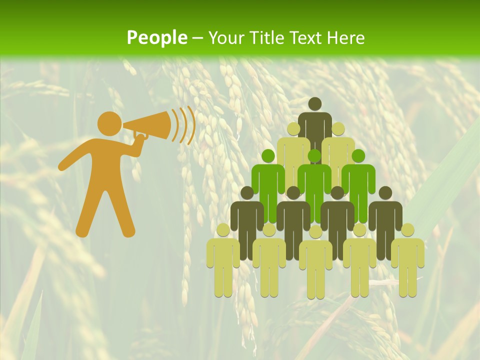 Di Cu Ion Figure Conference PowerPoint Template