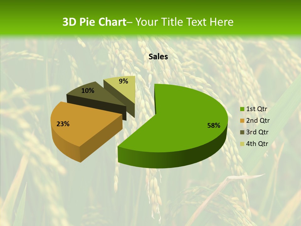 Di Cu Ion Figure Conference PowerPoint Template
