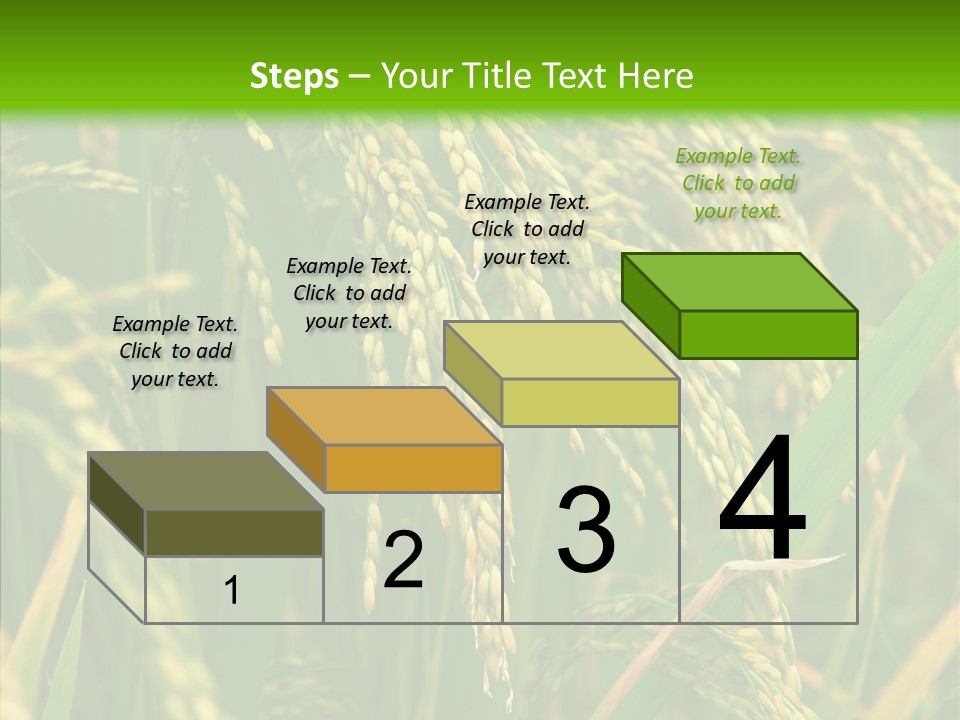 Di Cu Ion Figure Conference PowerPoint Template