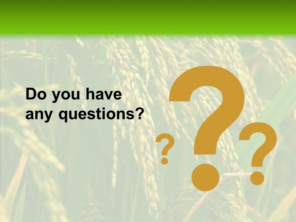 Di Cu Ion Figure Conference PowerPoint Template