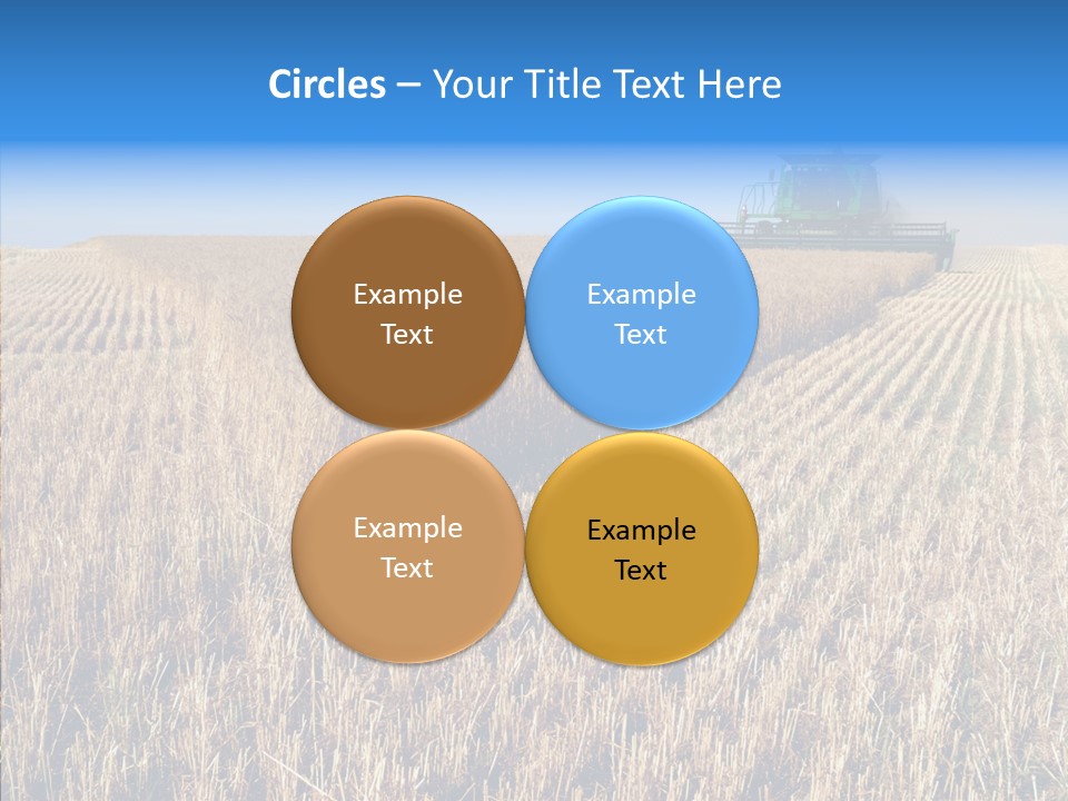 Rye Straw Farming PowerPoint Template