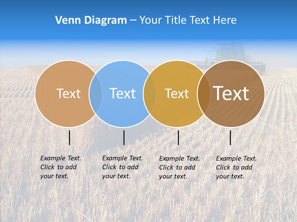 Rye Straw Farming PowerPoint Template