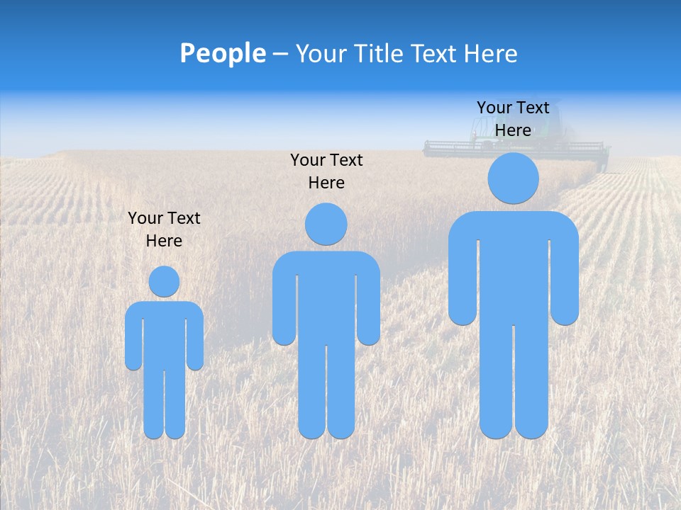 Rye Straw Farming PowerPoint Template