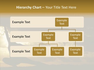Arts Katana Face PowerPoint Template