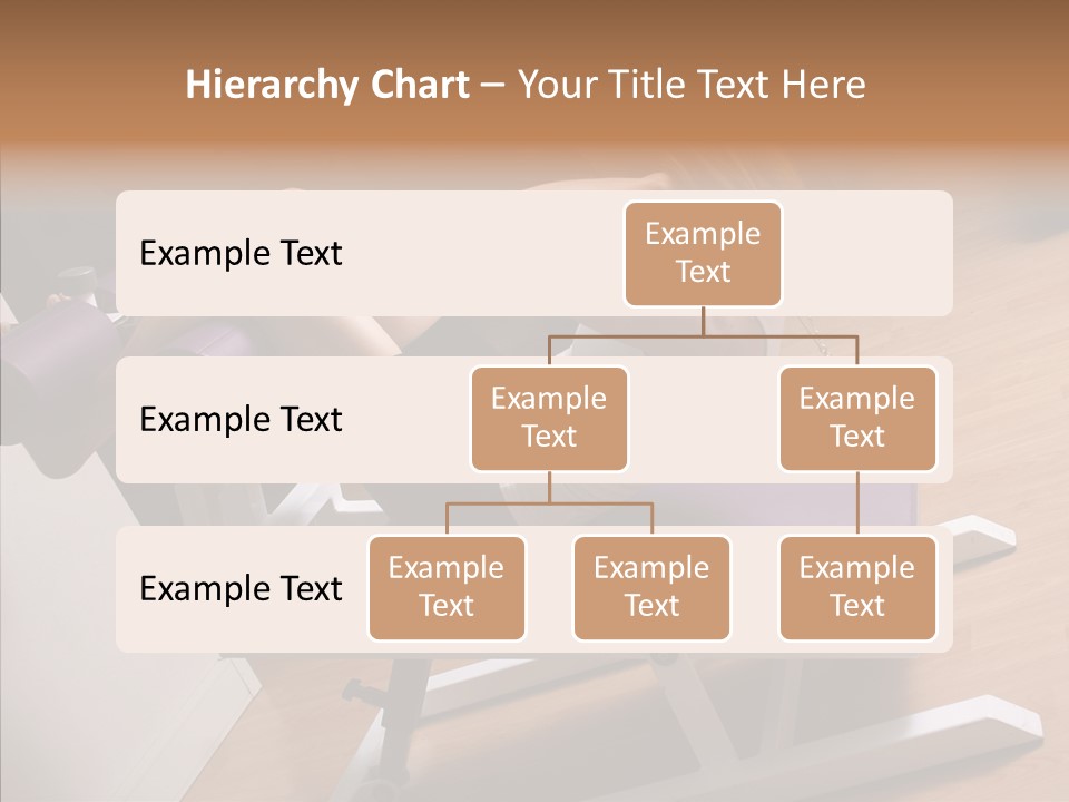 Vitality Wellbeing Activewear PowerPoint Template