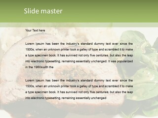 Horseradish Dinner Arugula PowerPoint Template