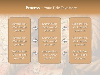 South Cartography Illustration PowerPoint Template