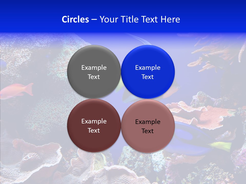 Writing Humorou Group PowerPoint Template