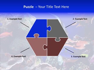 Writing Humorou Group PowerPoint Template