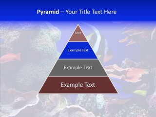 Writing Humorou Group PowerPoint Template