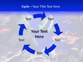 Writing Humorou Group PowerPoint Template