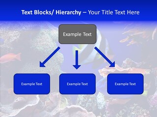 Writing Humorou Group PowerPoint Template