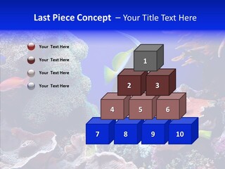 Writing Humorou Group PowerPoint Template