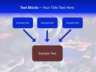 Writing Humorou Group PowerPoint Template