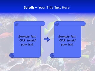 Writing Humorou Group PowerPoint Template