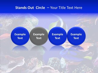 Writing Humorou Group PowerPoint Template
