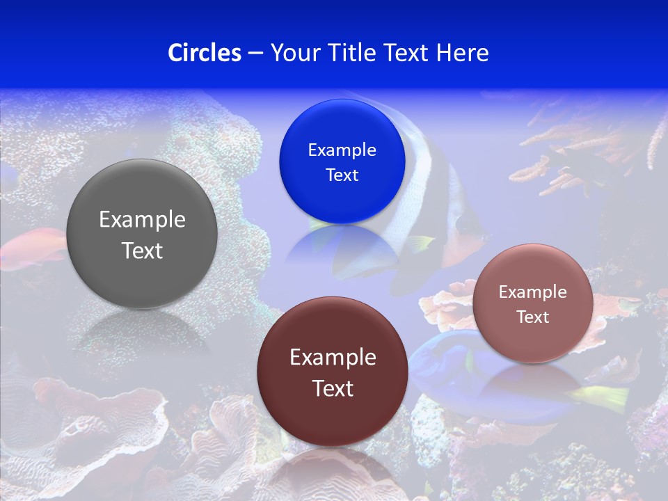 Writing Humorou Group PowerPoint Template