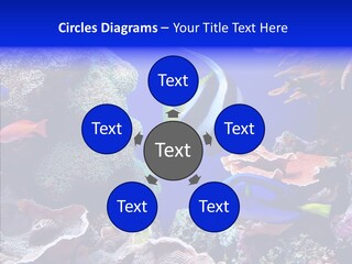 Writing Humorou Group PowerPoint Template