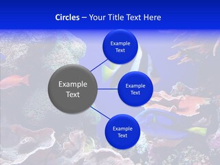 Writing Humorou Group PowerPoint Template