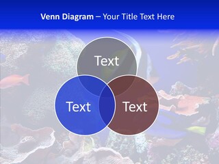 Writing Humorou Group PowerPoint Template