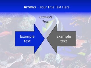 Writing Humorou Group PowerPoint Template