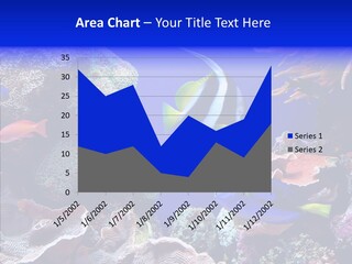 Writing Humorou Group PowerPoint Template