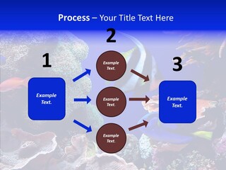Writing Humorou Group PowerPoint Template