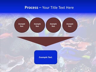 Writing Humorou Group PowerPoint Template