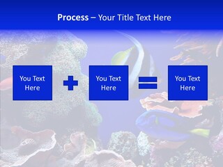 Writing Humorou Group PowerPoint Template