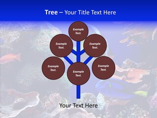 Writing Humorou Group PowerPoint Template