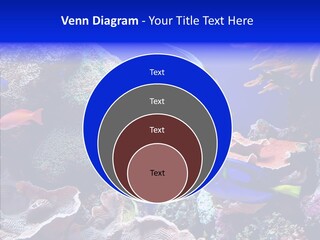 Writing Humorou Group PowerPoint Template