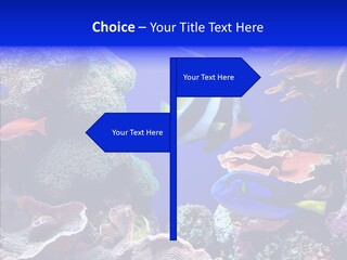 Writing Humorou Group PowerPoint Template