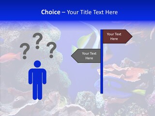 Writing Humorou Group PowerPoint Template
