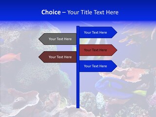 Writing Humorou Group PowerPoint Template