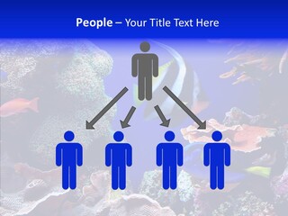 Writing Humorou Group PowerPoint Template