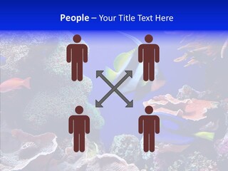 Writing Humorou Group PowerPoint Template