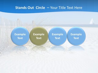 Seaoat Tourism Nature PowerPoint Template