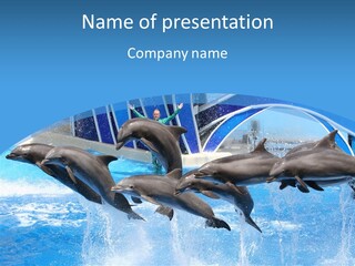 Ocean Performer Attraction PowerPoint Template