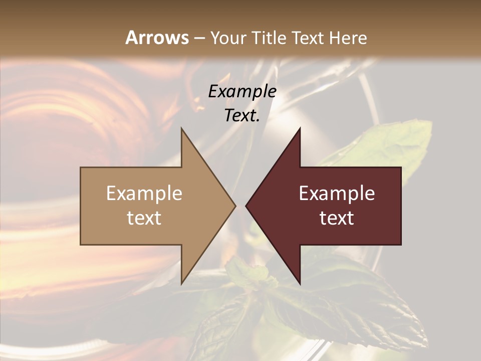 Freshness Leaves Aromatherapy PowerPoint Template