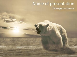 Company Toon People PowerPoint Template