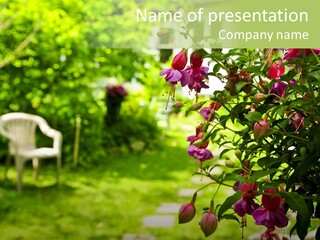 Serenity Bloom Pathway PowerPoint Template