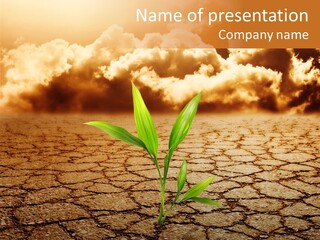 Heat Peace Young PowerPoint Template