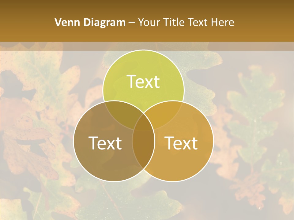 September Colorful Red PowerPoint Template