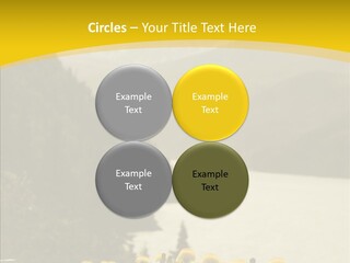 Green Focus Bokeh PowerPoint Template