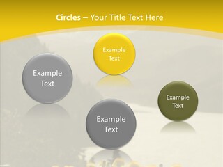 Green Focus Bokeh PowerPoint Template