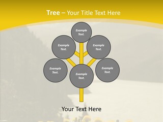 Green Focus Bokeh PowerPoint Template
